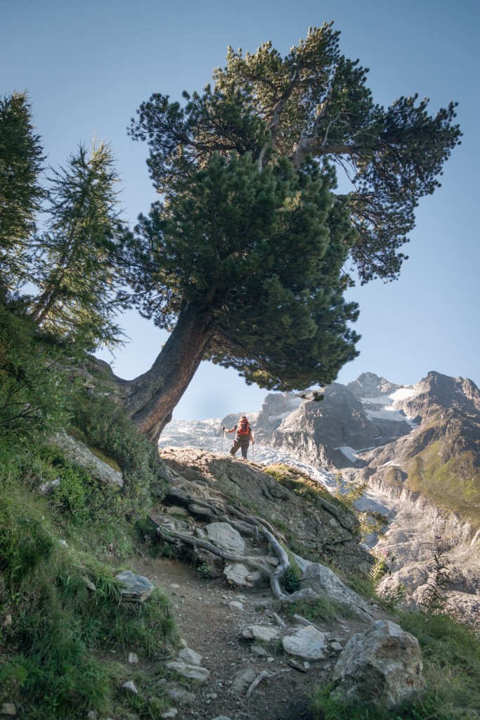 Anne over Trient Glacier