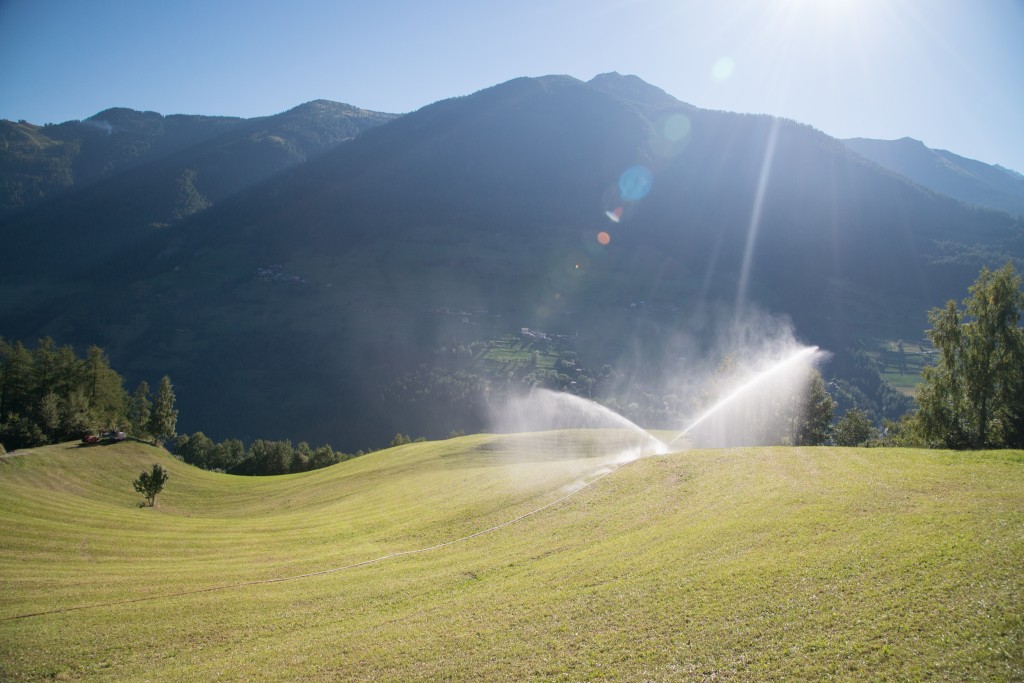 Haute Route - Pasture