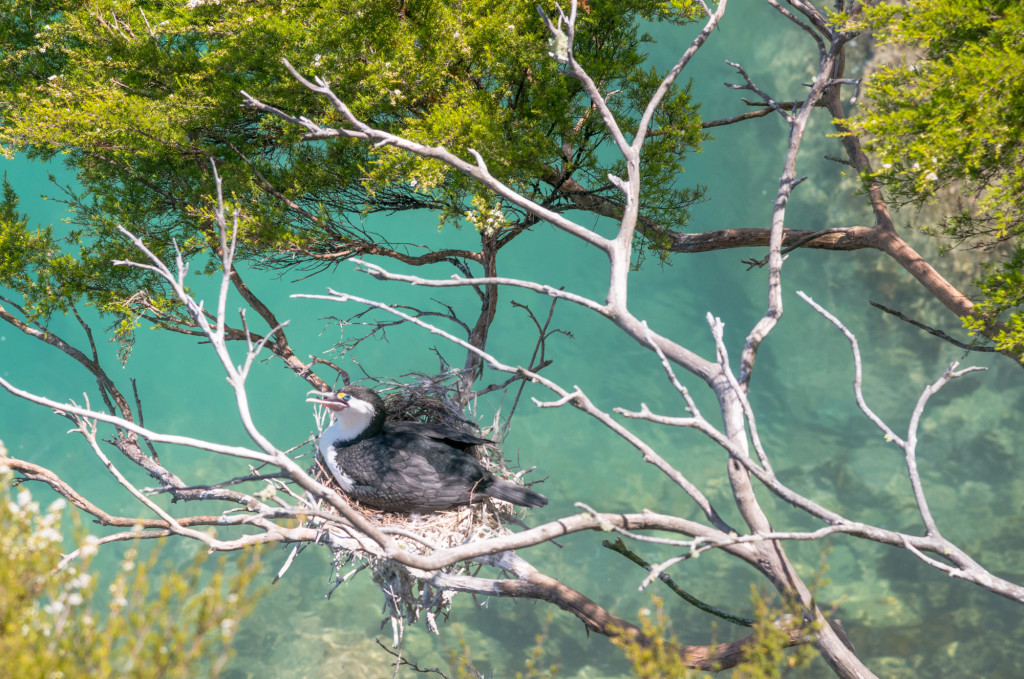 NZ-AbelTasman-6