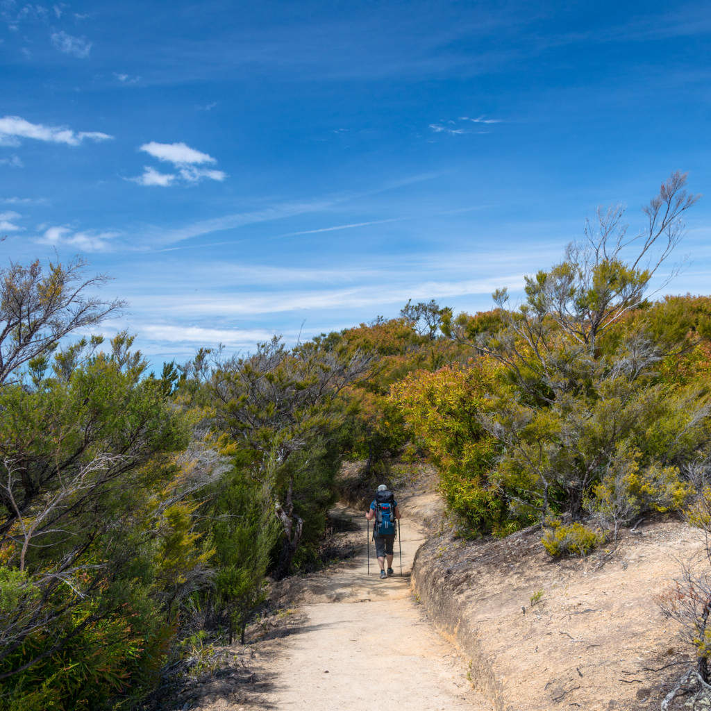 NZ-AbelTasman-8